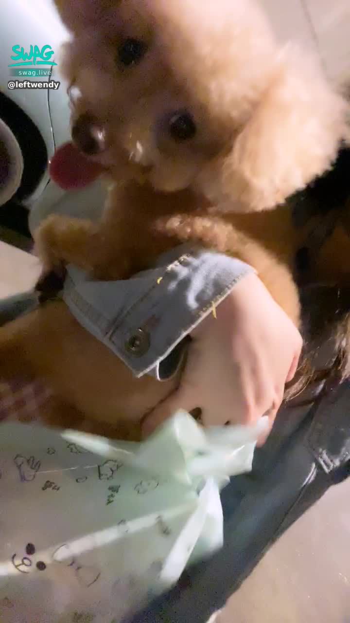 l*******y : 我朋友剛剛來找我
帶了我們家狗狗的禮物😂
啊今天不是人家生日嘛
跟狗狗吃醋的我😂😂😂