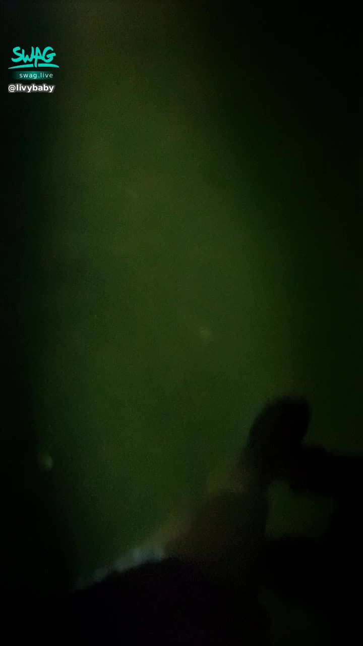  : into the deep forest 🌲
Please join us in making something bad about the tent. Feature film material 💜
Otherwise, I'll have to wait and play on my own. 🤣