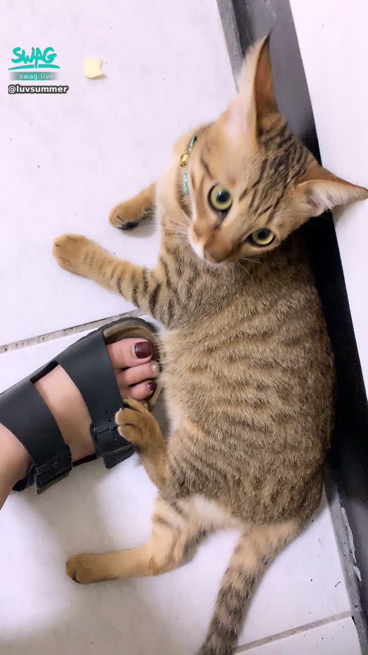 l*******r : 咪咪腳放那邊太犯規🥺🥺🥺
💕最近限時新活動💕
私訊傳3句分開「還是愛小夏」可以直接換小驚喜隱藏片喲～
今天心情不錯晚上22:00後想聊天！
多聊幾句聊到小夏心情好，可能也可以許願🉐️專屬你的片片