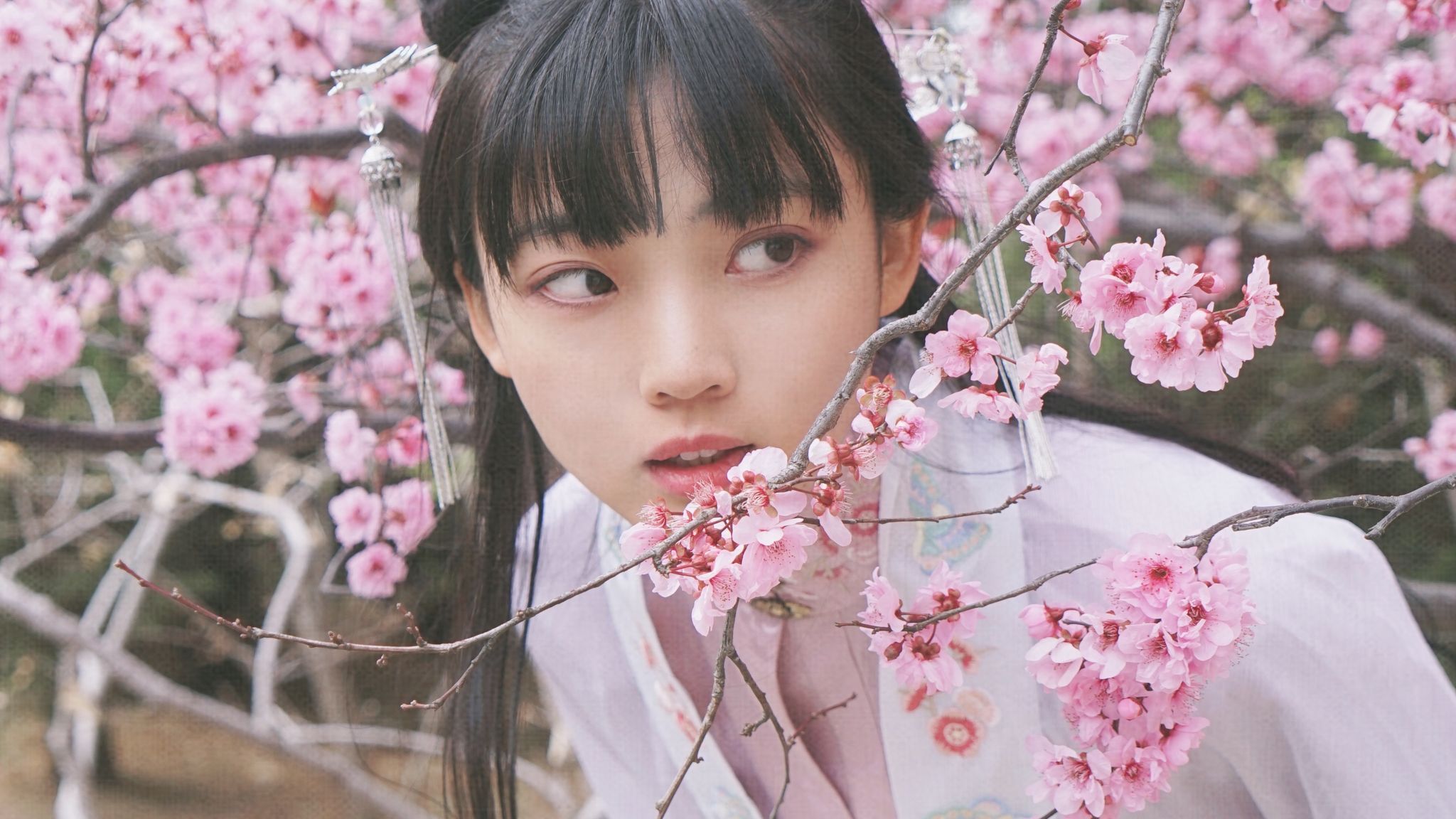 iam_neko : 早上起來試圖反殺 但是⋯
本当に久しぶりに春の花を見た、
3年くらい、ずっと冬か夏に暮らしていました
旅行がうまくいってよかった🌸💕💕💕
