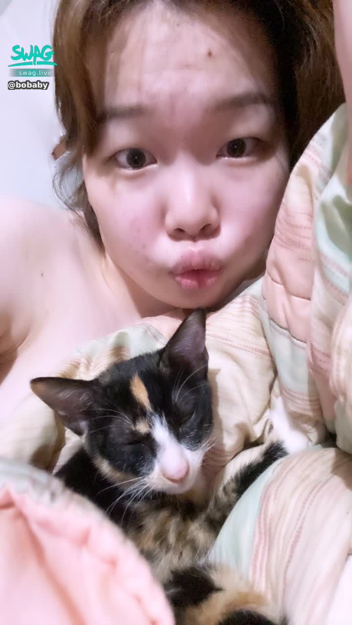 bobaby : 要哪一隻貓呢
