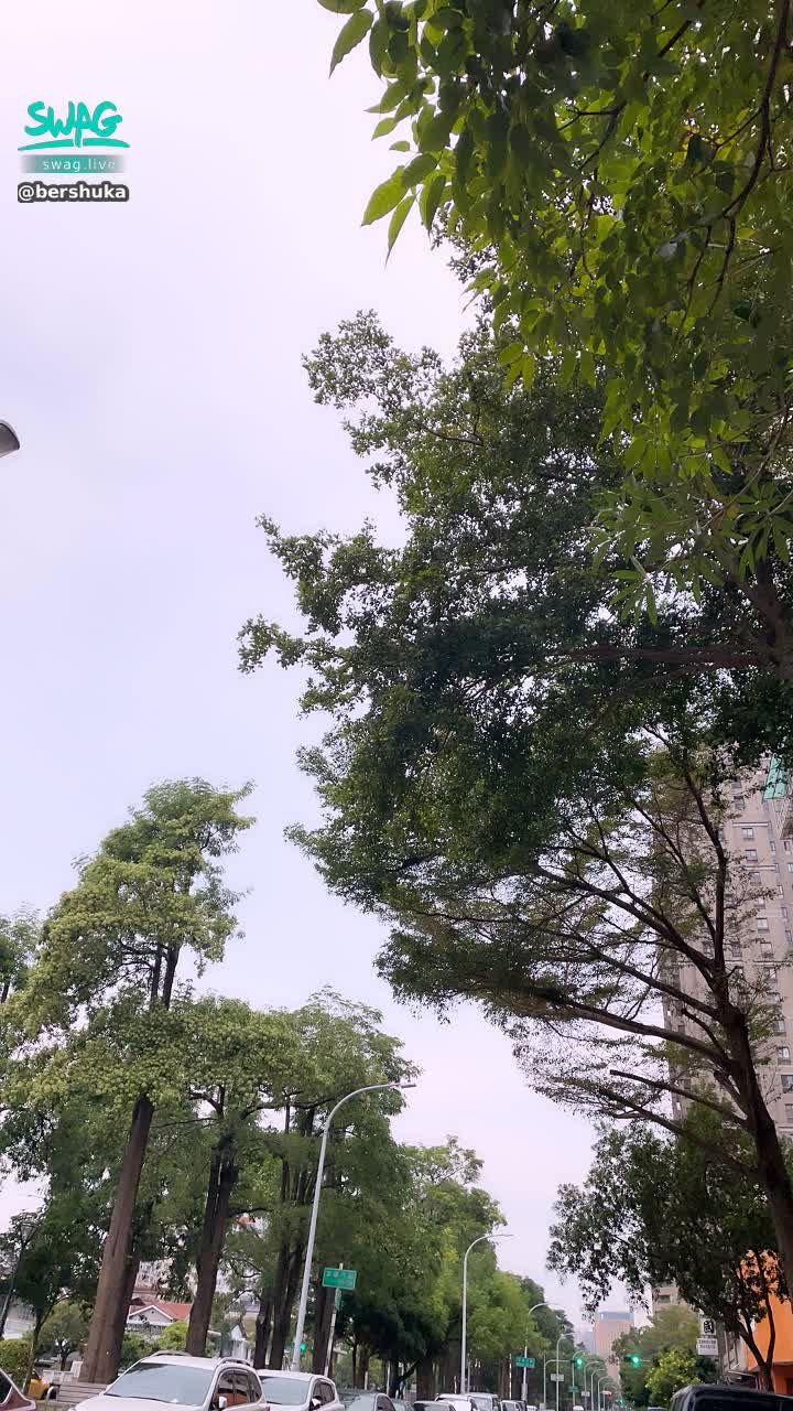 bershuka : 下午好💙茉茉現在在台中呦！