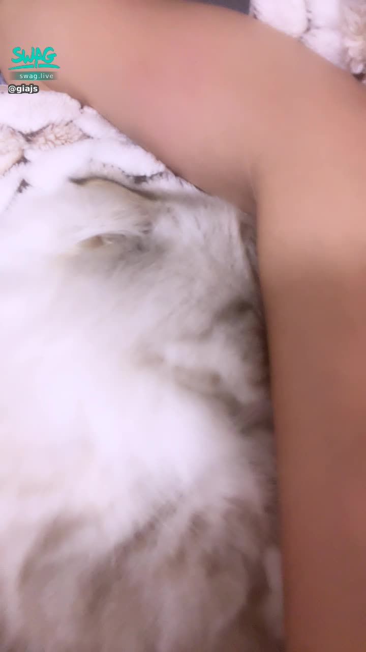 giajs : 麥麥整個說在我身上不動😳😳😳