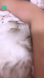 giajs : 麥麥整個說在我身上不動😳😳😳