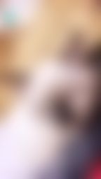 elvababe : 新年快樂🧨各位寶貝們現在只要有私訊丟新年禮物🎁
就送隱藏版的私藏片喲~~~~趕快來私訊我😈