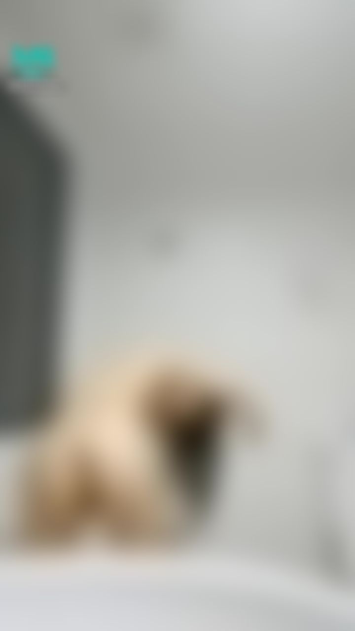 kikilinbabe : 想被你從後面來的姿勢擦頭髮邊拍屁股