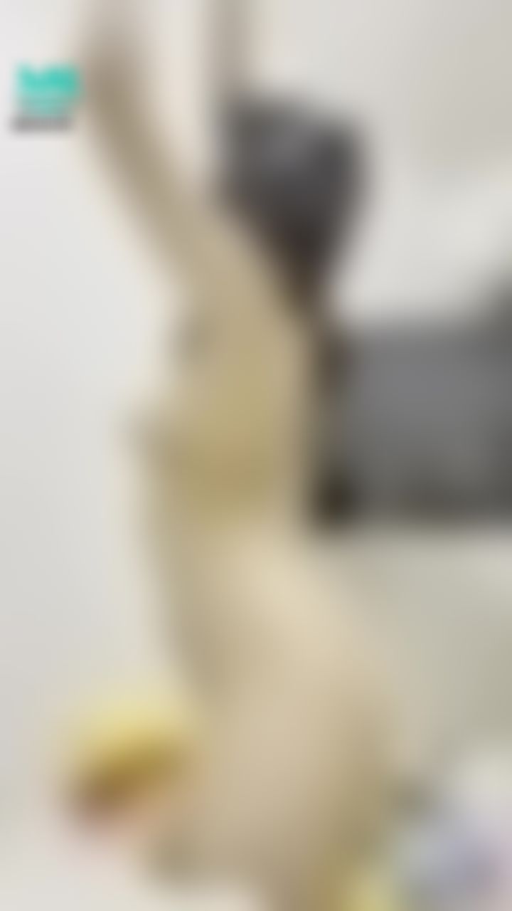 l******i : 哥哥快來滿足我🔥人家一把火在燒😳想要你的肉棒安慰一下我的小穴💦
#屁股 #屁眼 #小穴 #面具 #穴穴 #裸體 #奶子 #摸奶 #乳頭 #奶頭 #舌頭 #性感 #抬高 #欲求不滿 #誘惑 #腰