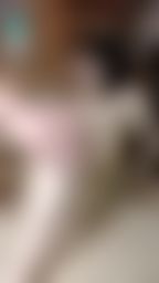 wanobaby : 🔞娃諾實戰篇🔞無套側入爆幹本土淫娃‼️‼️插入視角超清晰幹到淫娃受不了啊啊啊淫叫聲連連🔥🔥🔥