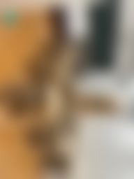 wannababy : Swag最狂🔥🔥🔥史上第一次 也是唯一一次
教室直播大尺度系列‼️
最有誠意、最有心、最淫蕩的直播 只在望娜這❤️
私訊「8個震動按摩棒」🎁
可以領取雙主播露臉雙頭龍、噴水隱藏版💦
不管你是誰的粉
我都只給你最值回票價、最值得回味和收藏的影片
不信?
那你來領看看就知道了啊😘