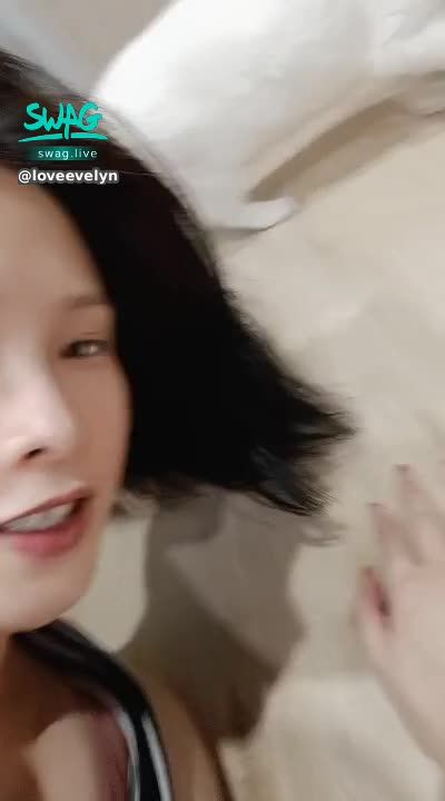 loveevelyn : 不死心，伊伊再試一次😤年紀大的貓是不是很歹鬥陣？靠近臭妮~2（在地上爬的伊🤣）
