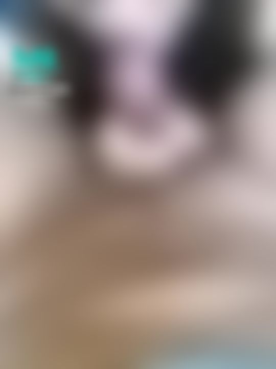 t**********u : 瞳瞳吃棒棒的騷樣😈😈😈
最後瞳瞳似乎還吞下了。。。。🫣🫣
⚠️私訊瞳瞳「好想被瞳瞳吃棒棒」有片片甜甜優惠

8月份開放閨蜜👯‍♀️雙主播約會，詳請私。
我是瞳瞳，葛格想要的通通給你❤️❤️❤️