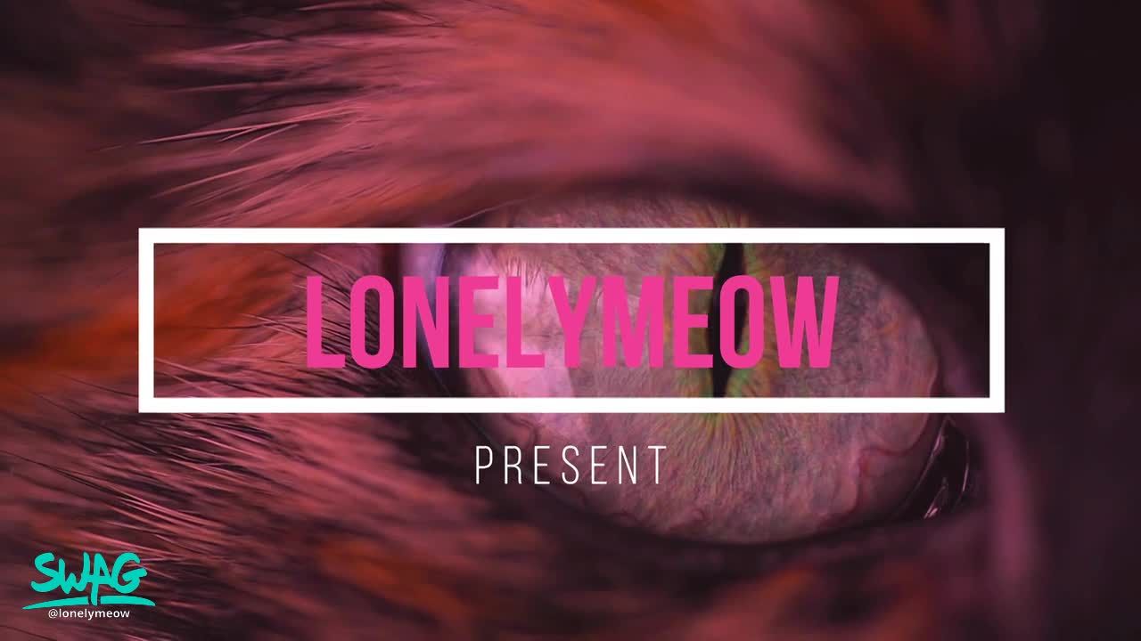 lonelymeow : 