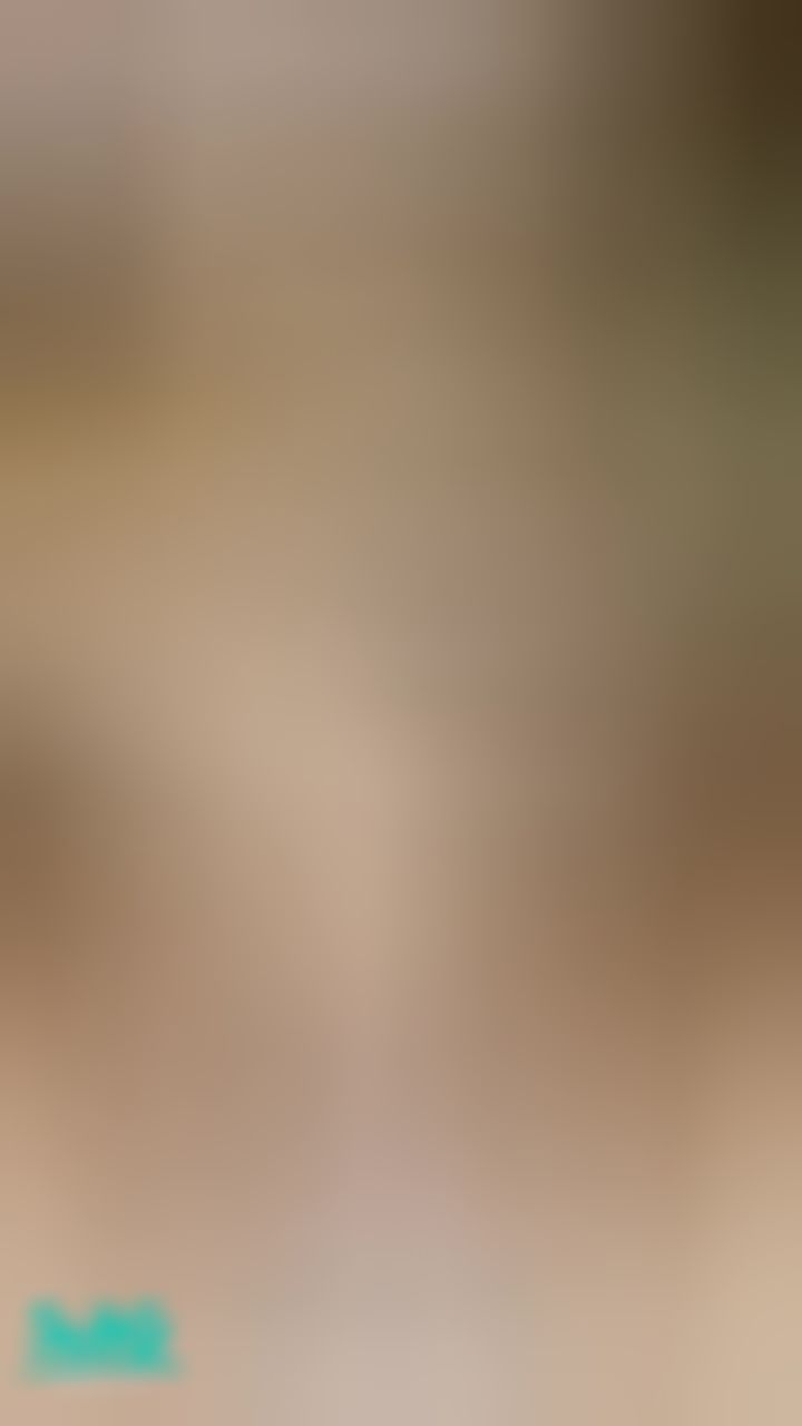 prettynikka : 热 猫 关闭 和 爱抚🍑