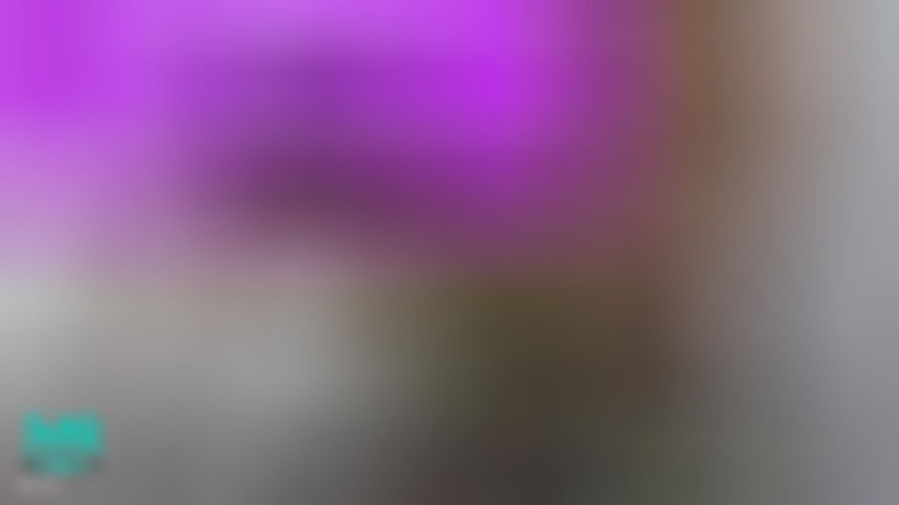 siuzi. : 💜小紫坚持一天最少一更新💜