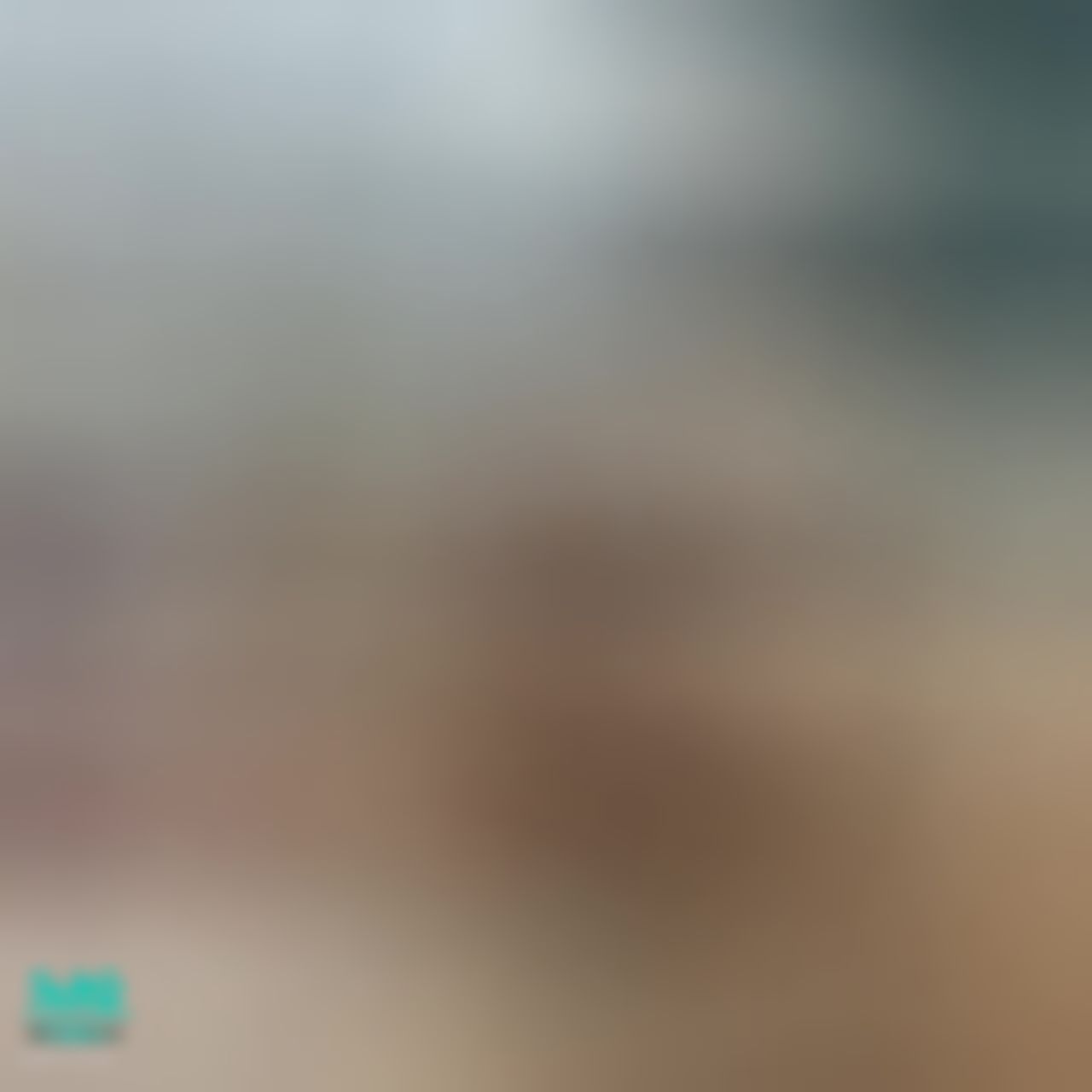 sexyroxie : 反向女上騎棒棒🤤