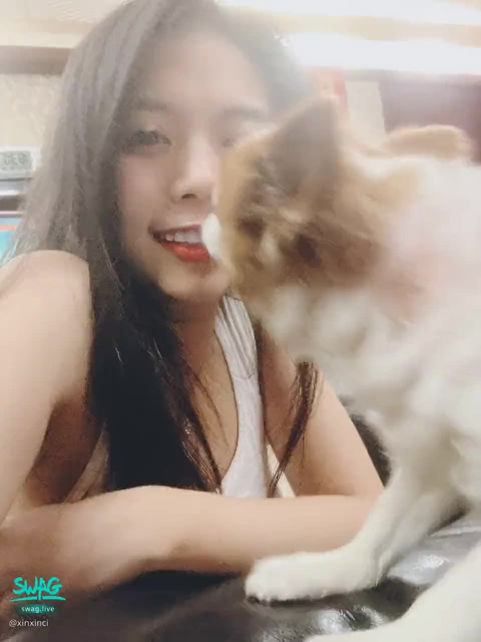 xinxinci : 