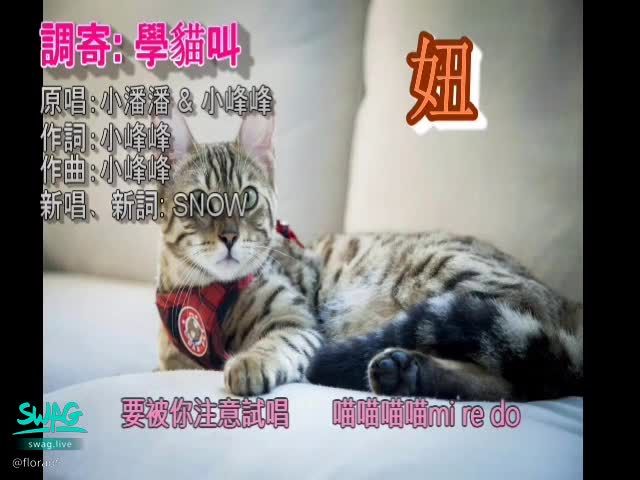 floraof : 粵語唱 學貓叫
粵語舊曲新詞 來聽