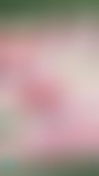 bershuka : 🎬茉茉新長片⚽️世足特企❣️用足球自慰刺激陰蒂🔞潮吹噴水淫水大亂射‼️⚽️💦💦💦
平台改版後,茉茉首度經典長片回歸‼️巨乳美尻❤️雙馬尾運動比基尼茉茉想體驗用足球磨蹭陰蒂的快感,摩擦到高潮酥麻大噴水⋯顫抖到腿軟,結果坐在足球上繼續慰慰⋯🫢㊙️
🎬快速傳送門👉🏻 https://5w.ag/NxdXnM2VVogCeFY39
#茉茉 #bershuka #新片上映 #解鎖長片看更深入的茉茉 #噴水 #足球 #巨乳 #大奶 #G乳