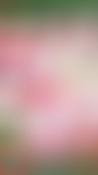 bershuka : 世足要贏來總冠軍賽了‼️🎬茉茉世足特企長片火熱上映中‼️ 用足球自慰🔞潮吹噴水淫水大亂射‼️⚽️💦💦💦
平台改版後,茉茉首度經典長片回歸‼️巨乳美尻❤️雙馬尾運動比基尼茉茉想體驗用足球磨蹭陰蒂的快感,摩擦到高潮酥麻大噴水⋯顫抖到腿軟,結果坐在足球上繼續慰慰⋯🫢㊙️
🎬快速傳送門👉🏻 https://5w.ag/NxdXnM2VVogCeFY39
#茉茉 #bershuka #新片上映 #解鎖長片看更深入的茉茉 #噴水 #足球 #巨乳 #大奶 #G乳