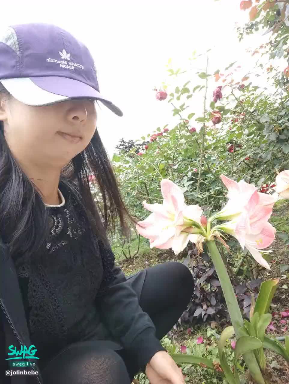 jolinbebe : 喜歡嗎。濕訊 解鎖