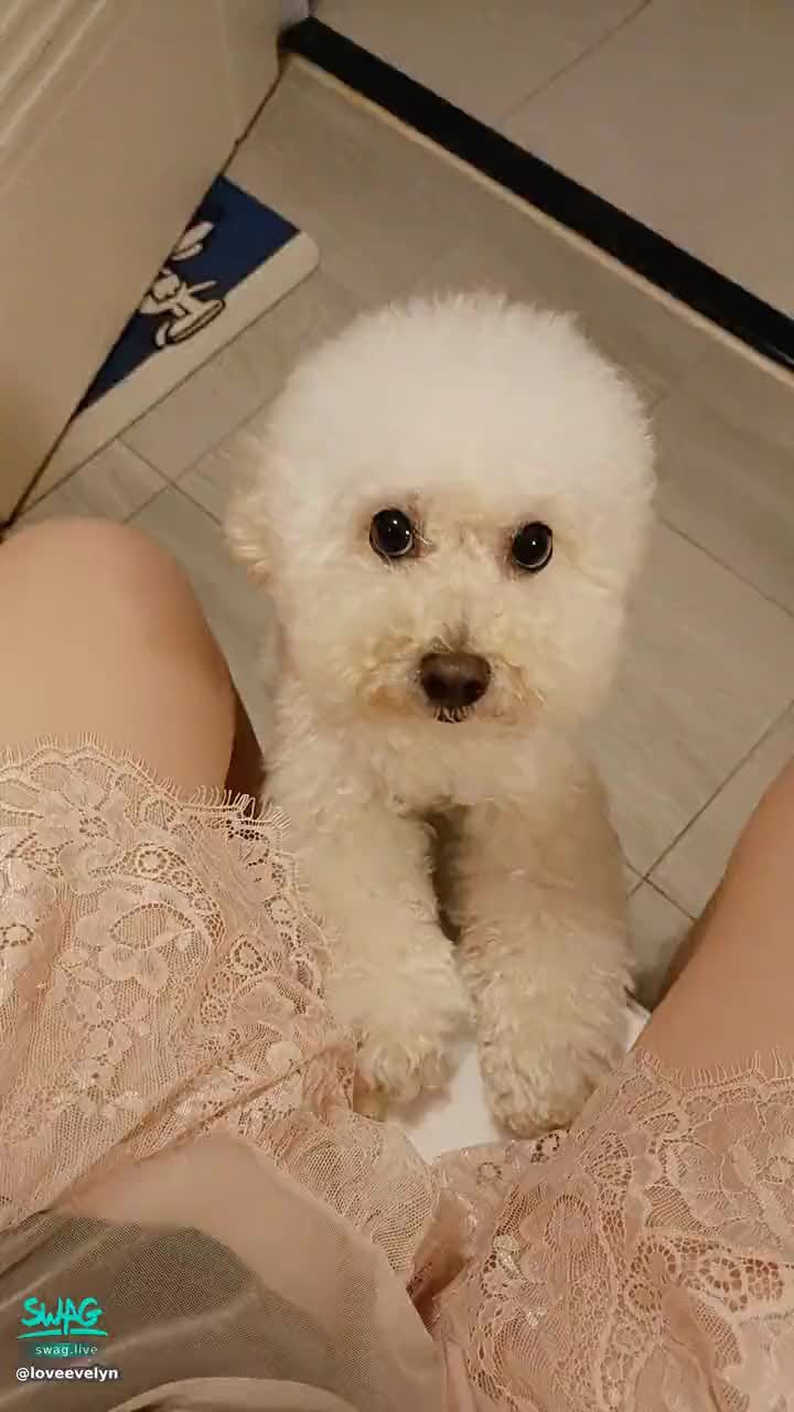 loveevelyn : 臭小子你看哪呢？