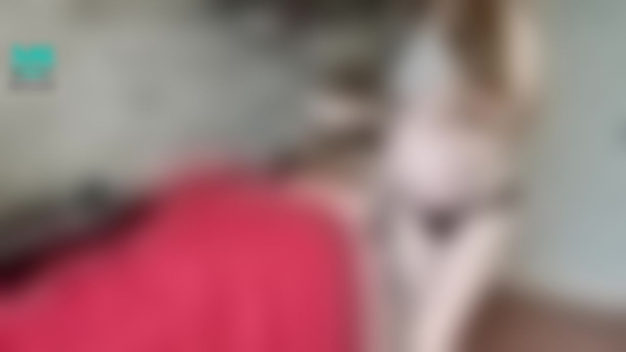 lilybarby : Pregnant woman at 9 months plays with a dildo, sucks a dick and gets a hot cream