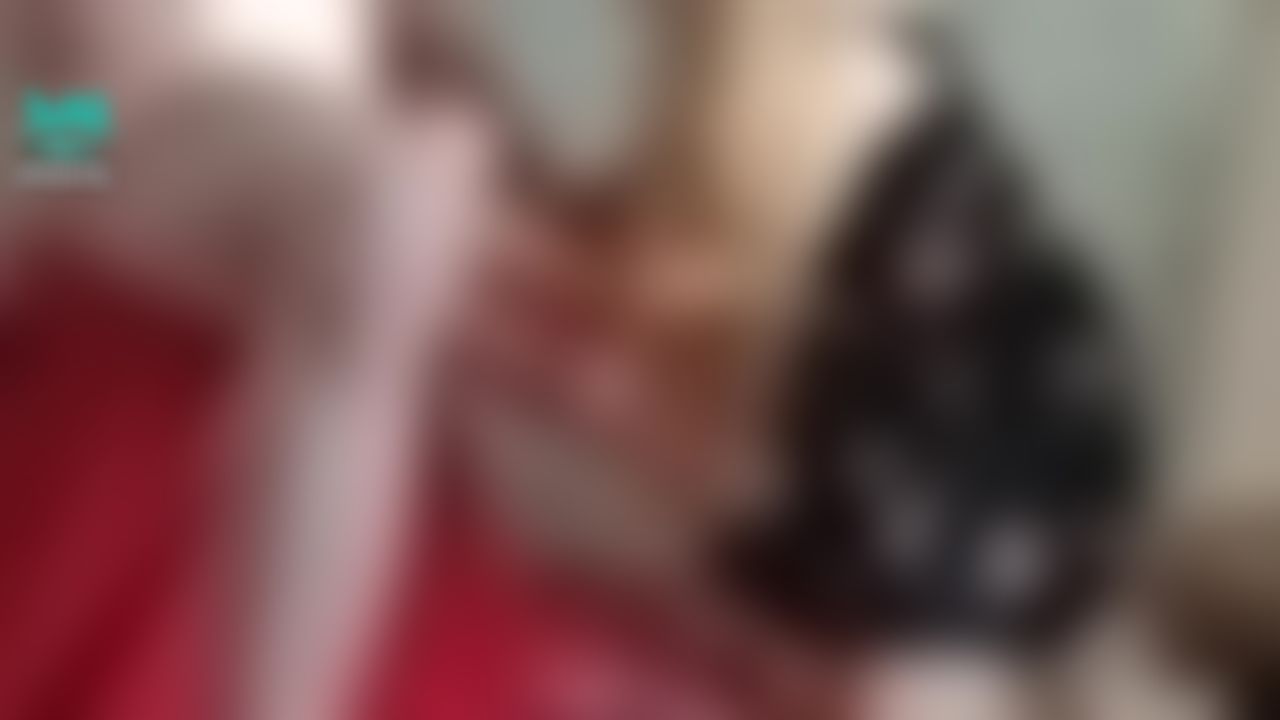 lilybarby : Hot blowjob: I put a busty beauty on all fours and fucked her hard