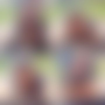  : 🙈 🙉 🙊カフェでメイドのさくら悠はパイズリ＆フェラチオのサービス💕