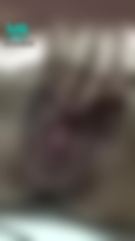 sexygirlbebe : 