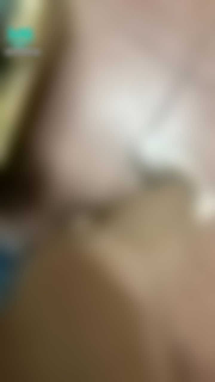 amyhannah : 