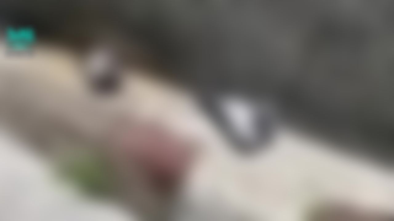 alva_girl : 天氣熱到鴿子中暑嘍