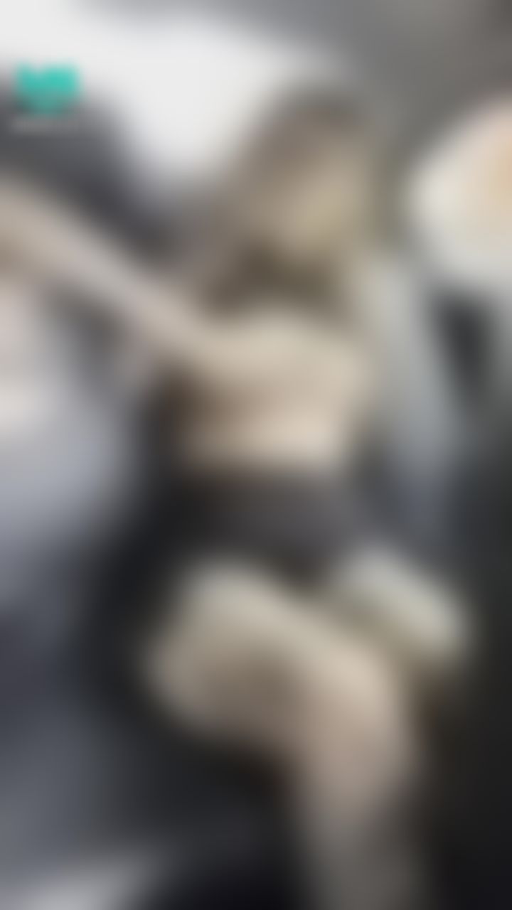 babes.private : 魷魚直播側拍2