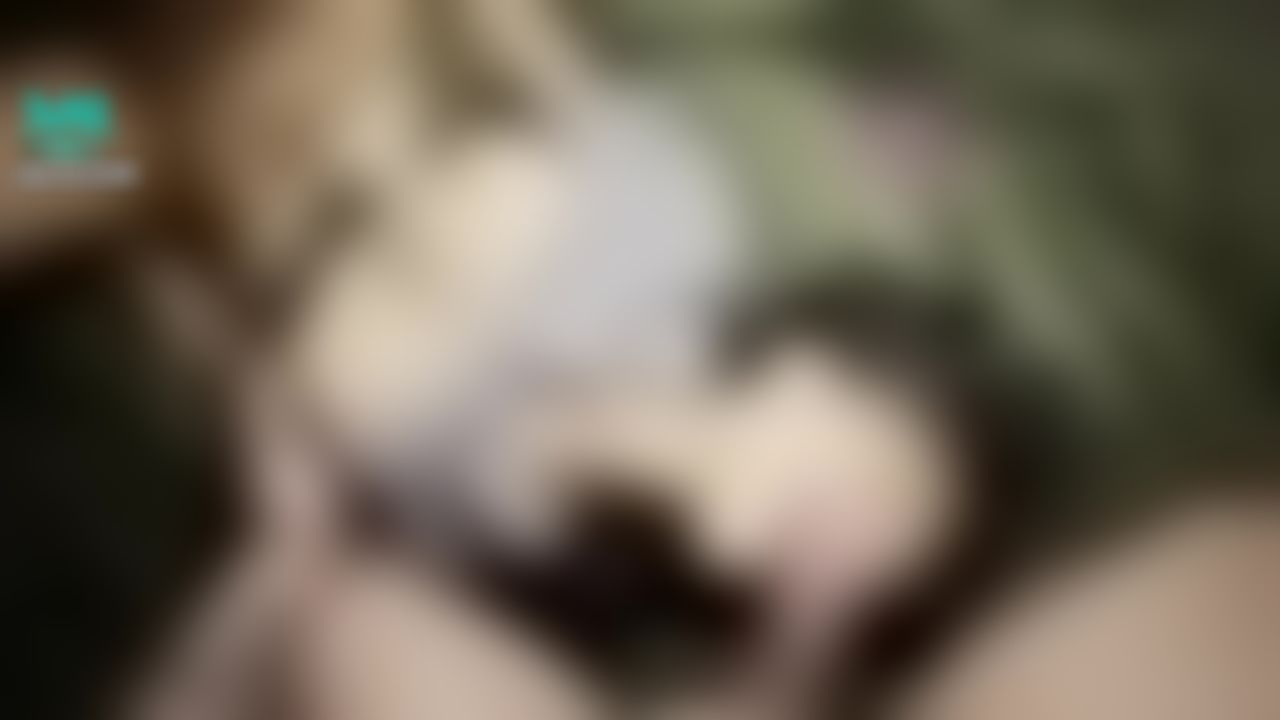 greecetw00 : ☕️24歲咖啡店女孩