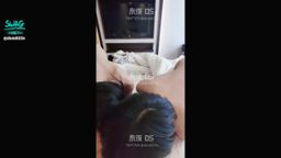 dom023s : 最强双人口交展示,一只狗儿教给另外一只,到底怎么才能让主人满意开心。从舌头的用法和吞吐的速度角度,堪称双飞口交教学经典。而且还有走心的解说,应该没有谁有这么强大的片子了。