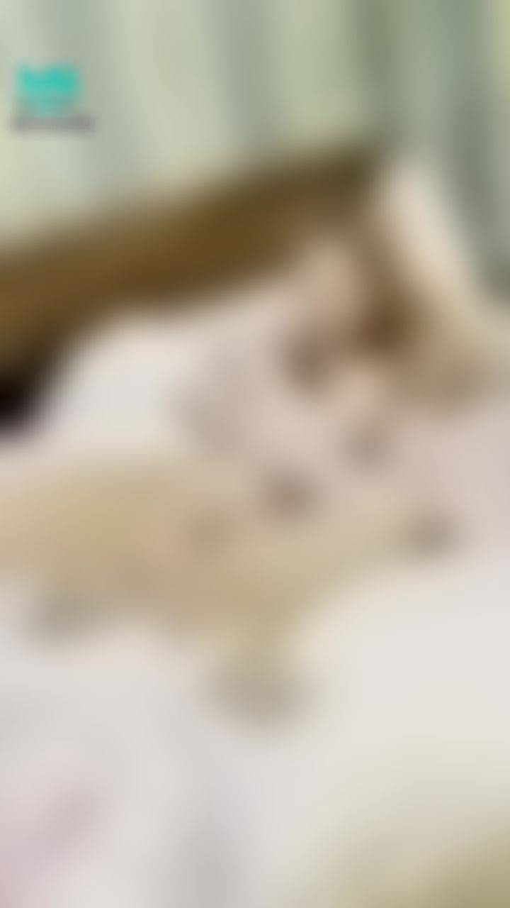 babes.private : 玖玖69到投降 再玩下去要壞掉了！