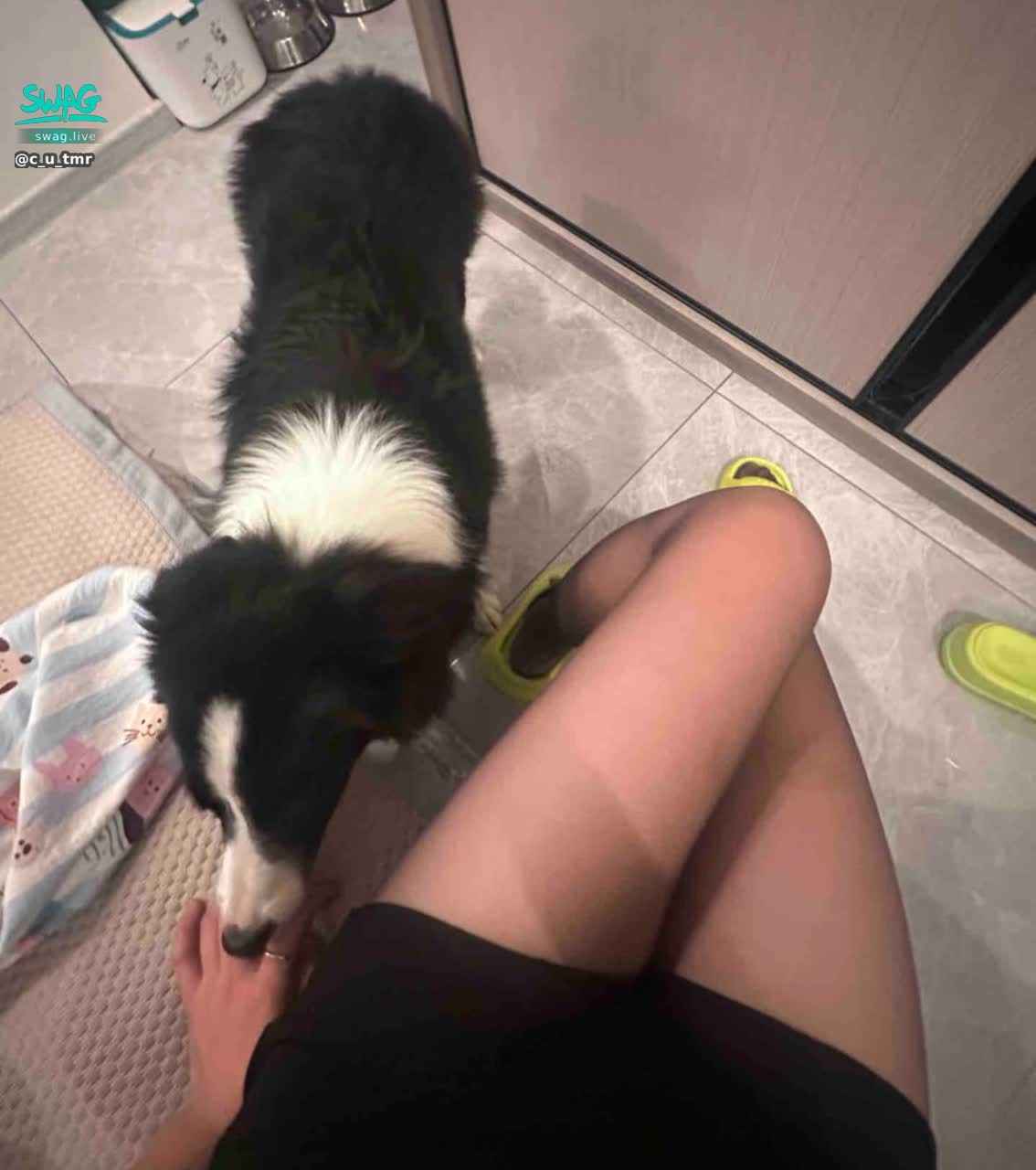 c_u_tmr : 晚上見唷Babe親愛們😍
今天去找朋友家的狗狗一起玩🐶真是太療癒了🥰
