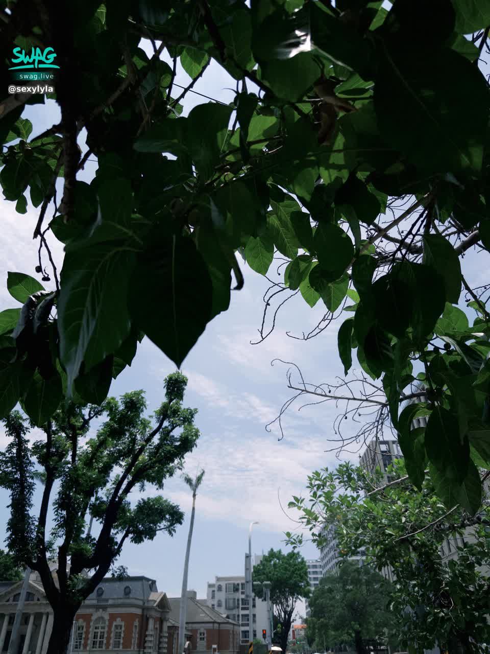 sexylyla : 太陽🌞真的好大呀👀
但比下雨好太多了！
