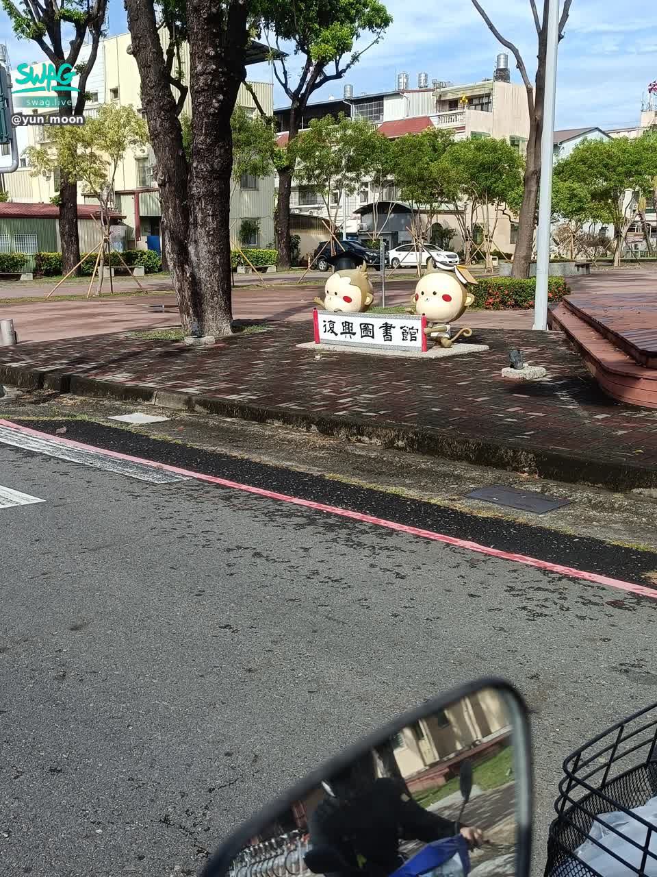 yun_moon : 路邊的兩隻可愛的小猴子~