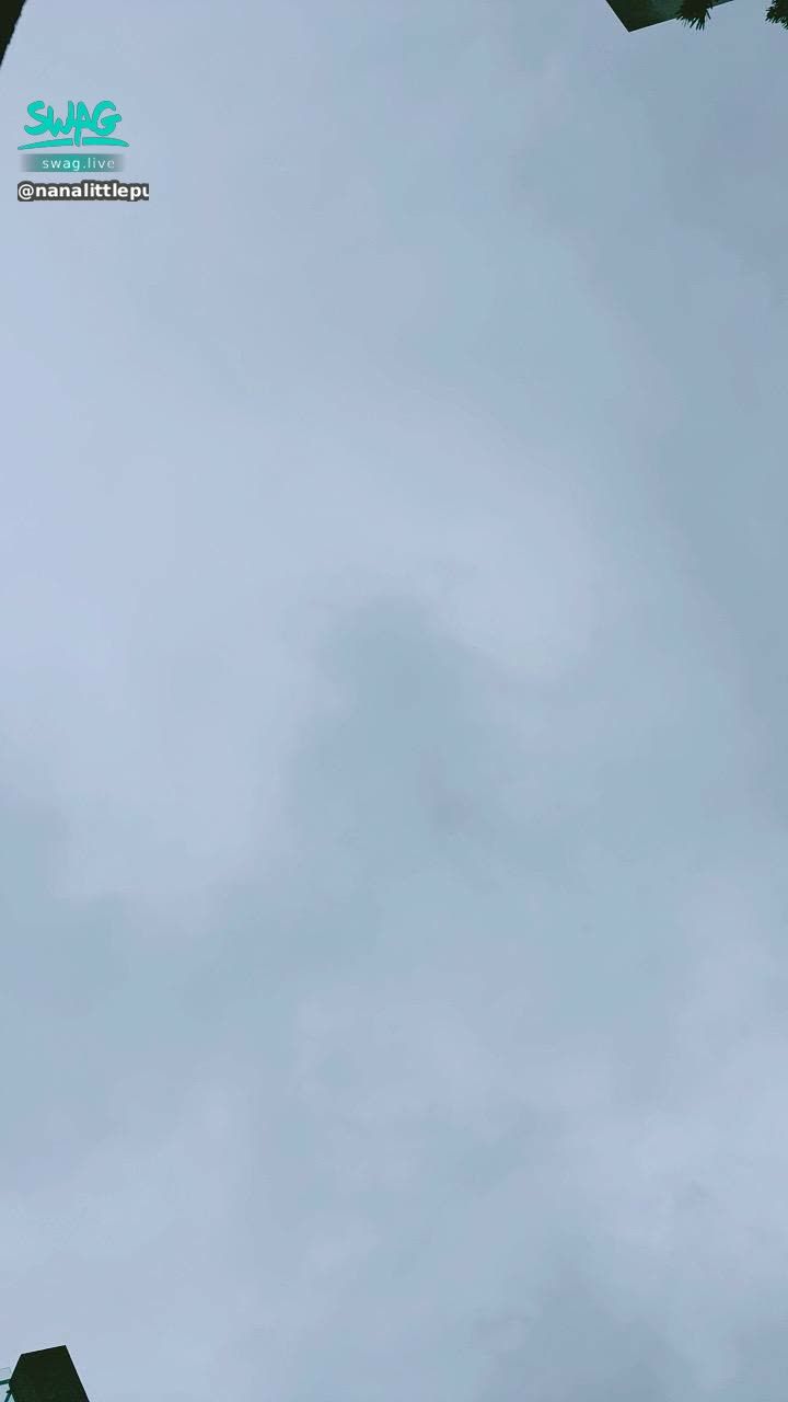 nanalittlepupy : Woohoo 😭
Why is it raining again?
I'm going to be soaked.