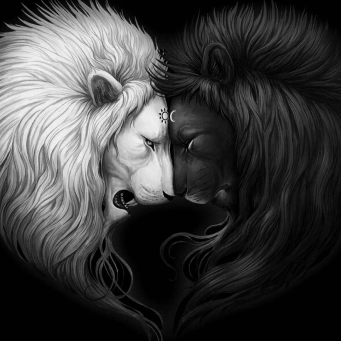 amdrew's livestream snapshot